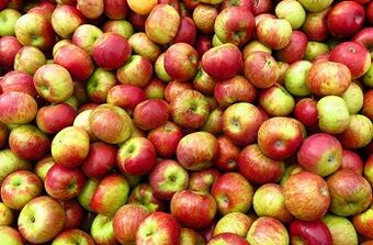 Régime pomme pour perdre du poids